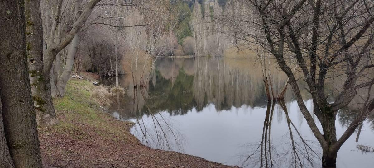 "Se est&aacute; dejando de lado la rica normativa ambiental de este municipio", expresan desde &Aacute;rbol de Pie