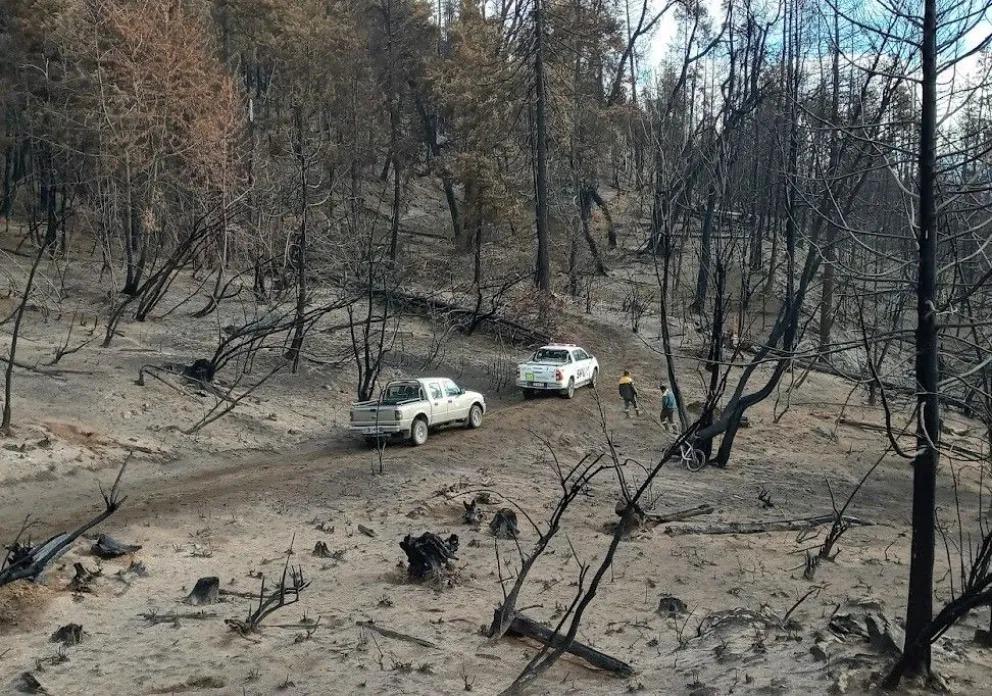 Alumnos de una escuela primaria participar&aacute;n de la reforestaci&oacute;n de la Reserva Natural Loma del Medio