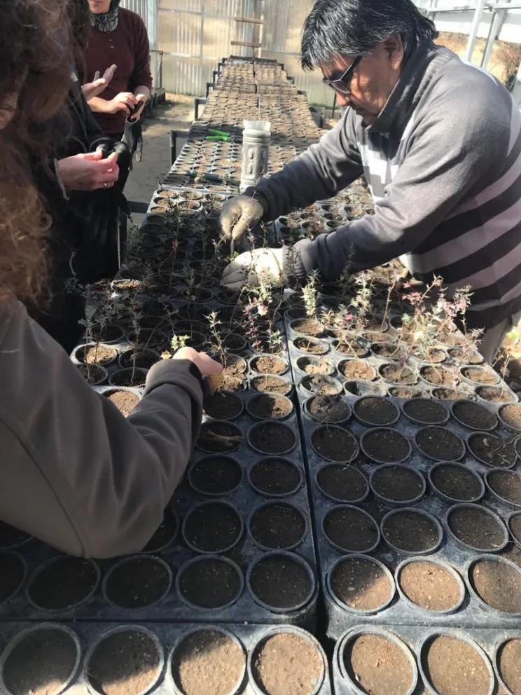 Impulsan un proyecto ecol&oacute;gico con la venta de plantas y entrega de semillas