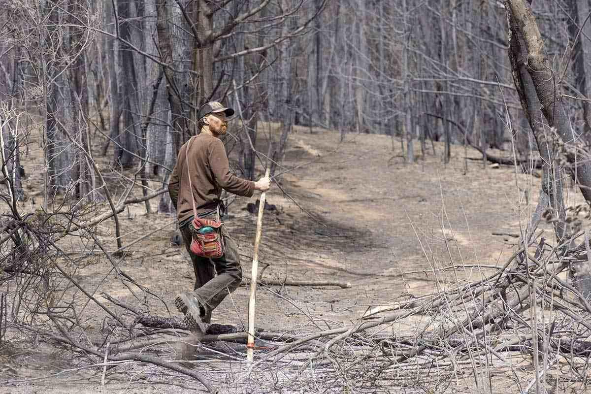 Reconstruir la cultura del bosque andino-patag&oacute;nico para frenar los incendios