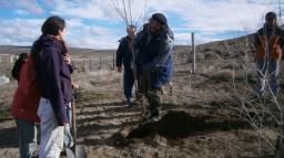 Plan de Forestaci&oacute;n para ganarle al desierto en la L&iacute;nea Sur