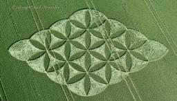 Aparece Crop Circle en Reino Unido 27 junio 2016, La Flor de la Vida