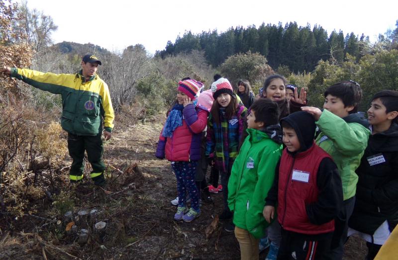 Jugando y aprendiendo chicos y chicas se comprometieron a proteger nuestros bosques