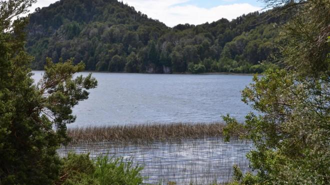 Bariloche: las reservas urbanas naturales pelean por subsistir