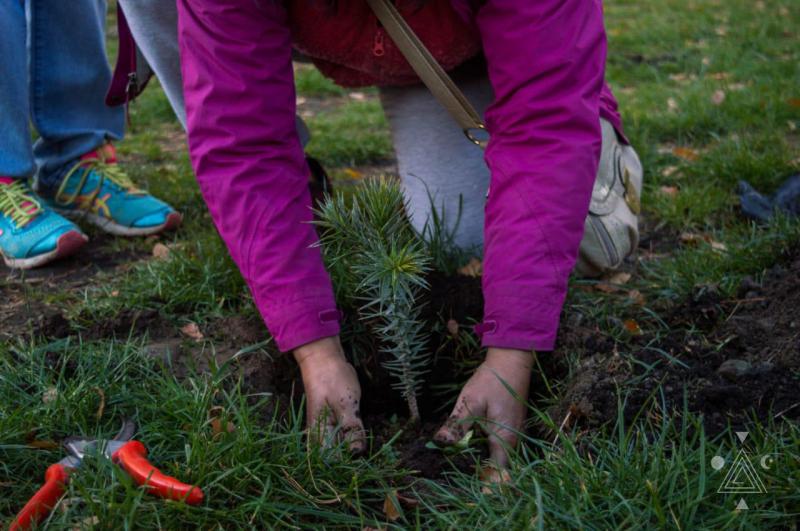 En el D&iacute;a del Bosque Andino Patag&oacute;nico se di&oacute; inicio a la Campa&ntilde;a de Concientizaci&oacute;n Ambiental 'Sembremos y Construyamos juntos un Nuevo Mundo' de Fundaci&oacute;n Anthena Arcturus