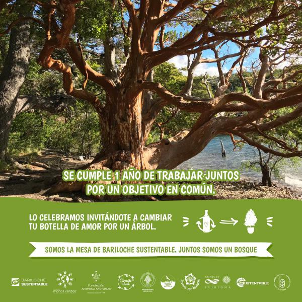 Bariloche Sustentable: una ecobotella por un &aacute;rbol nativo