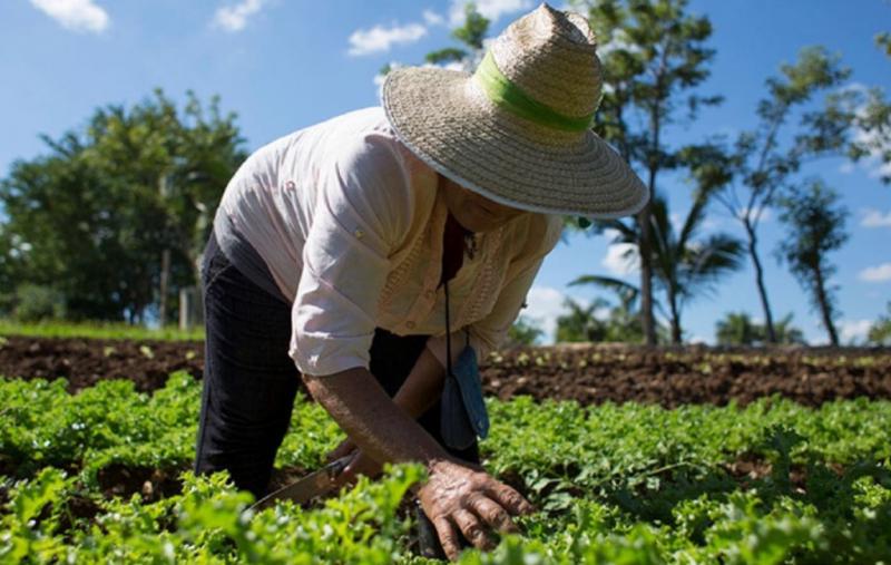 Dos localidades argentinas que hacen hito en agroecolog&iacute;a