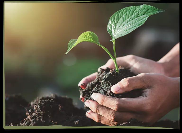 Campa&ntilde;a de concientizaci&oacute;n ambiental en la Semana de los Viveros