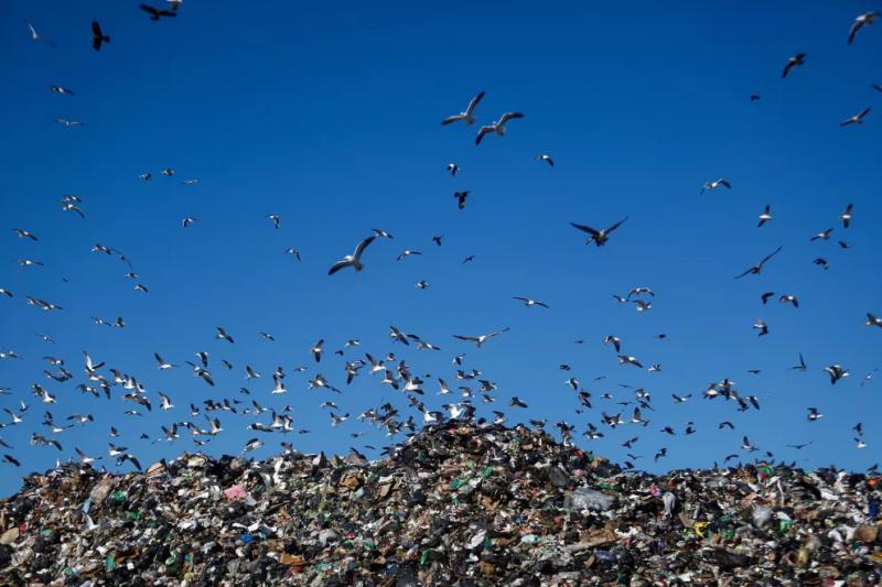 Un grupo de vecinos junta firmas para que se ampl&iacute;e la Planta de Reciclaje del Vertedero