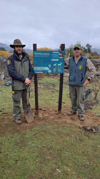 Avances para proteger al huemul en la zona de El Manso 