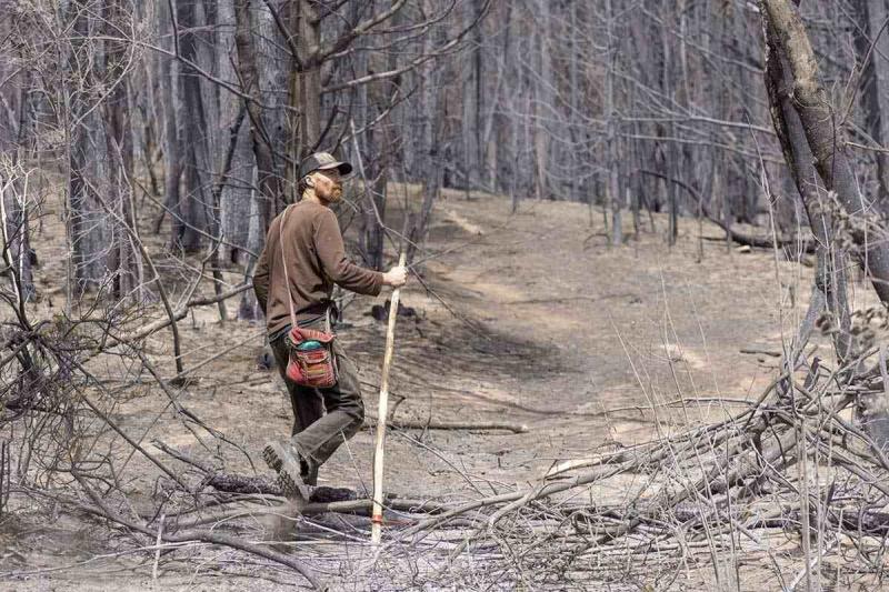 Reconstruir la cultura del bosque andino-patag&oacute;nico para frenar los incendios