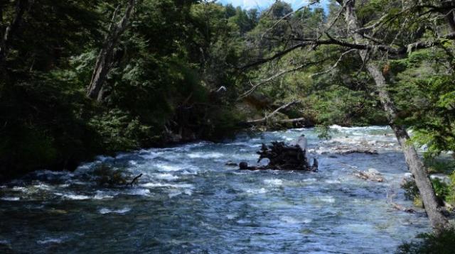 Arroyo Casa de Piedra comprende una diez reservas