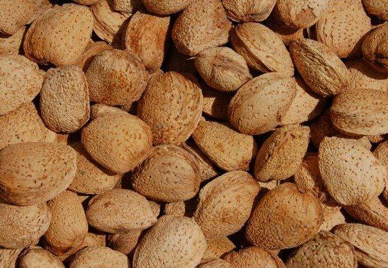 Vivero Paisaje Venta Online - Frutales